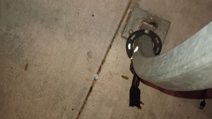 Help Replace Koda’s Stolen Scooter campaign photo, 1 of 3