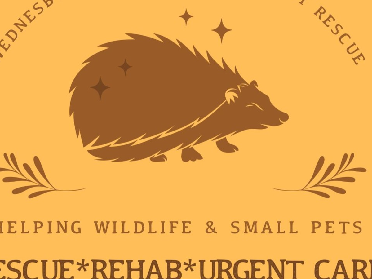 Fundraiser’s main image