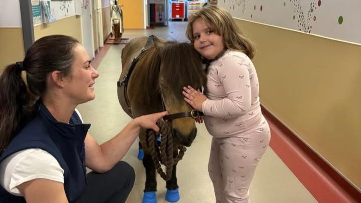 Pony Visits for Poorly Children: Help Us Cover the Costs campaign photo, 1 of 7