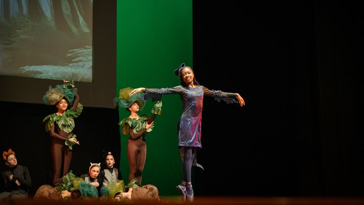 Help Kemi Attend Ballet Summer Intensive campaign photo, 1 of 8