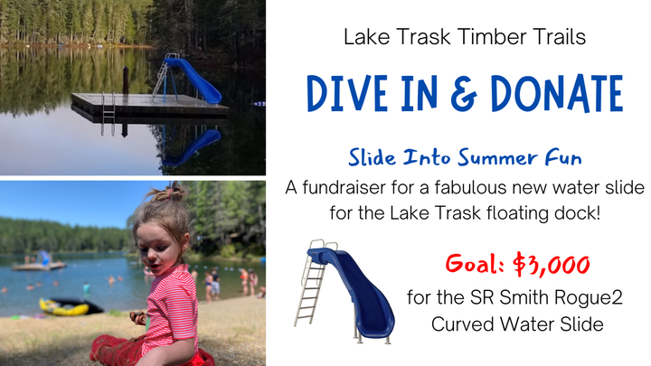 Fundraiser by Julie Siegler Dive in Donate