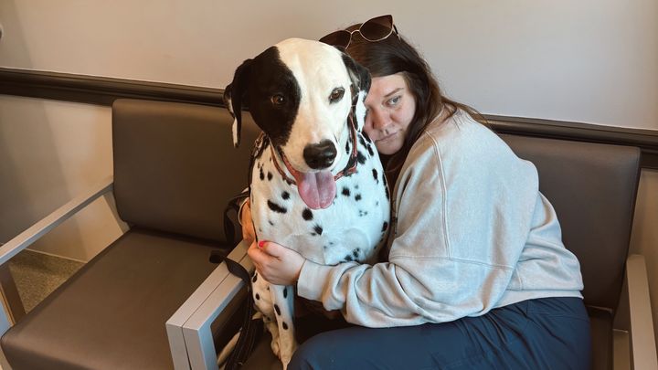 Help Oliver: Urgent Surgery Needed campaign photo, 1 of 3