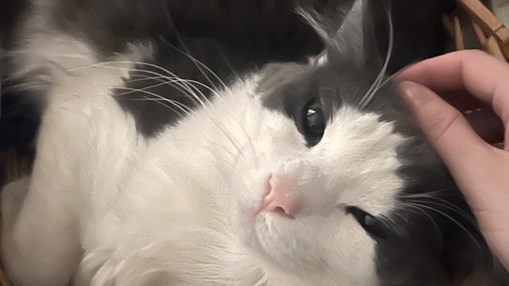 Help Theo Get Life-Saving Surgery campaign photo, 1 of 3