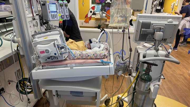 Fundraiser by Shelby Lynn : Aspen Needs Urgent Care