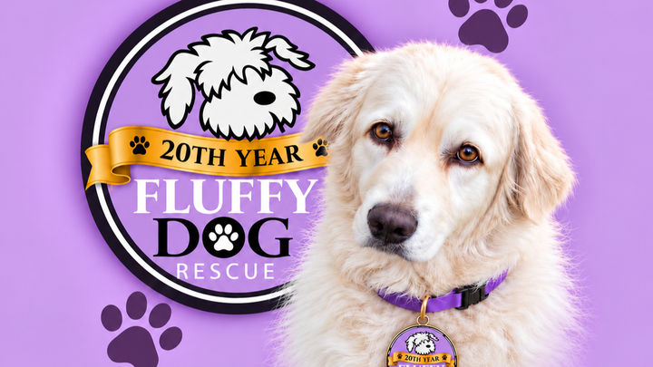 Help Keep Fluffy Dog Rescue Open campaign photo, 1 of 7