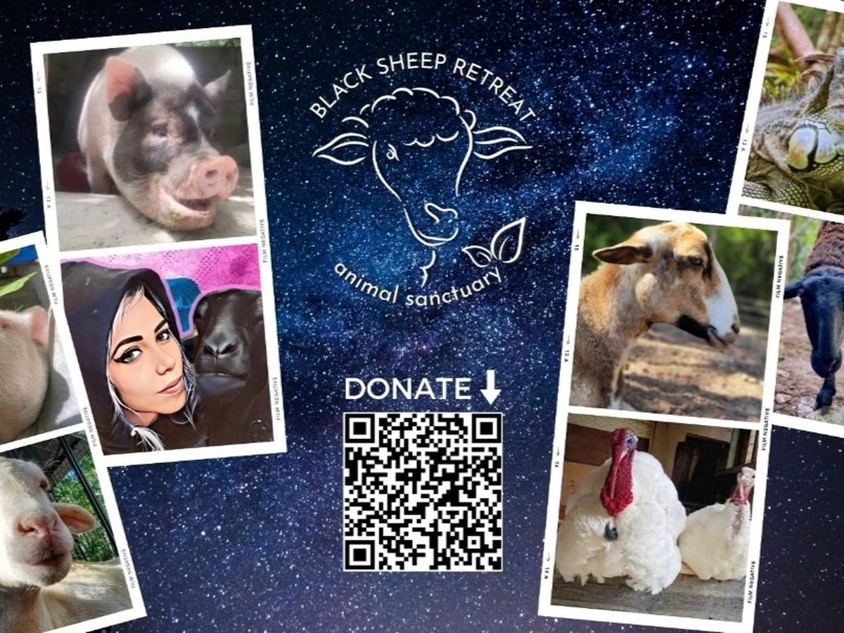 Fundraiser’s main image