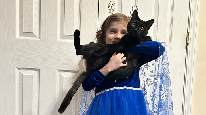 Help Luna with a reliable car for her kidney treatment campaign photo, 1 of 5