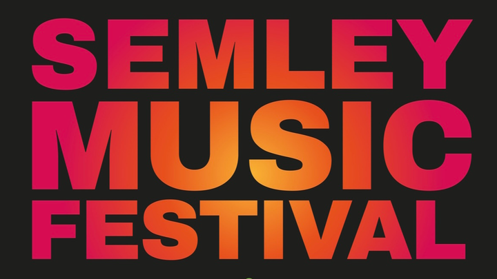 Save Our Community Music Festival campaign photo, 1 of 3
