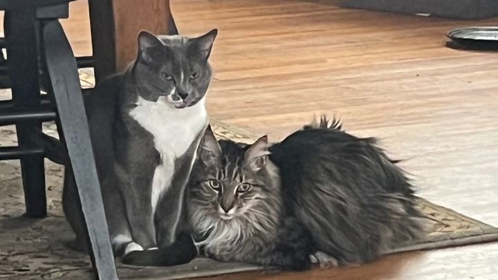 A Friend's Urgent Call for Help campaign photo, 1 of 6