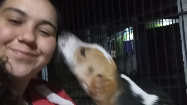 Help Dossy cover Lucho and Renzo's treatment campaign photo, 1 of 5