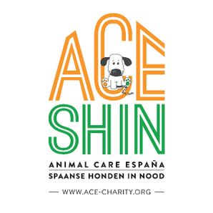 ACE|SHIN Foundation