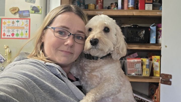 Help towards Alfies vet bills campaign photo, 1 of 8