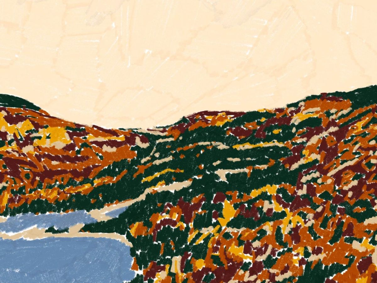 Fundraiser’s main image