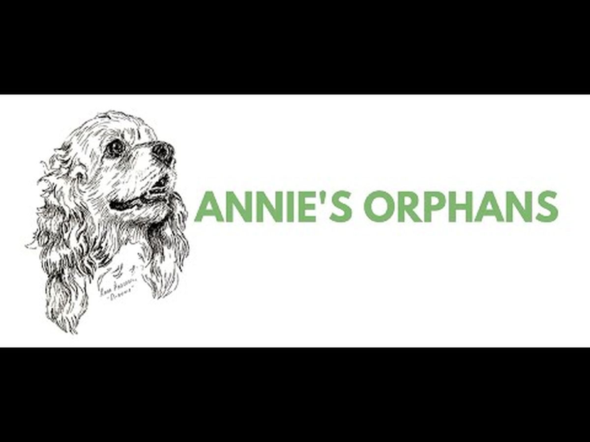 Fundraiser’s main image