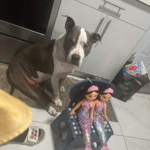 Rafael De La Torre V