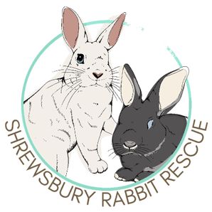 Shrewsbury Rabbit Rescue 
