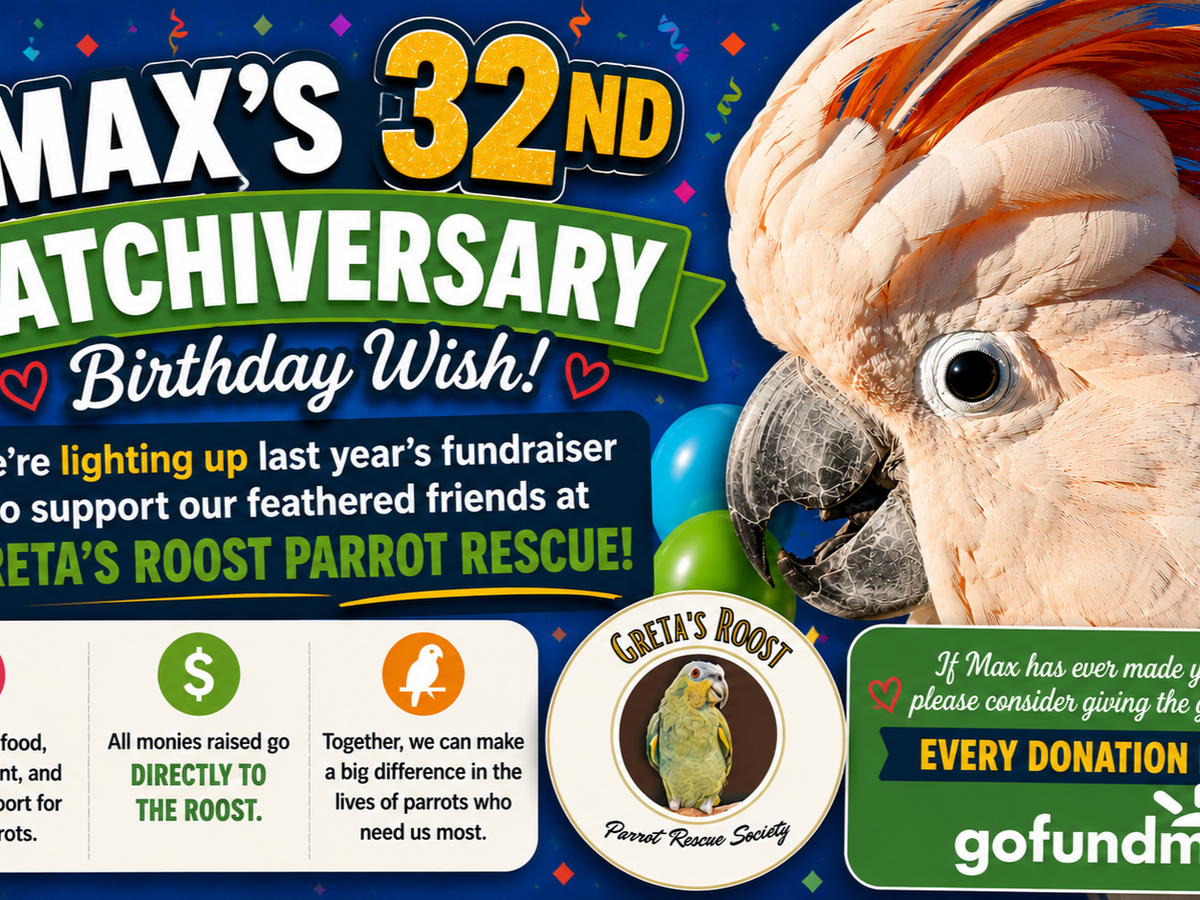 Fundraiser’s main image