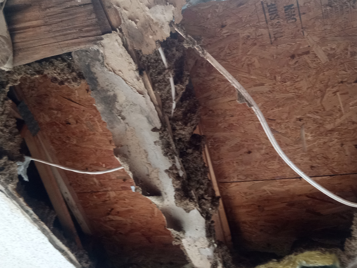 Ceiling Repair Needed for Twins' Arrival campaign photo, 1 of 7