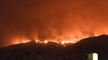 Fire Damaged