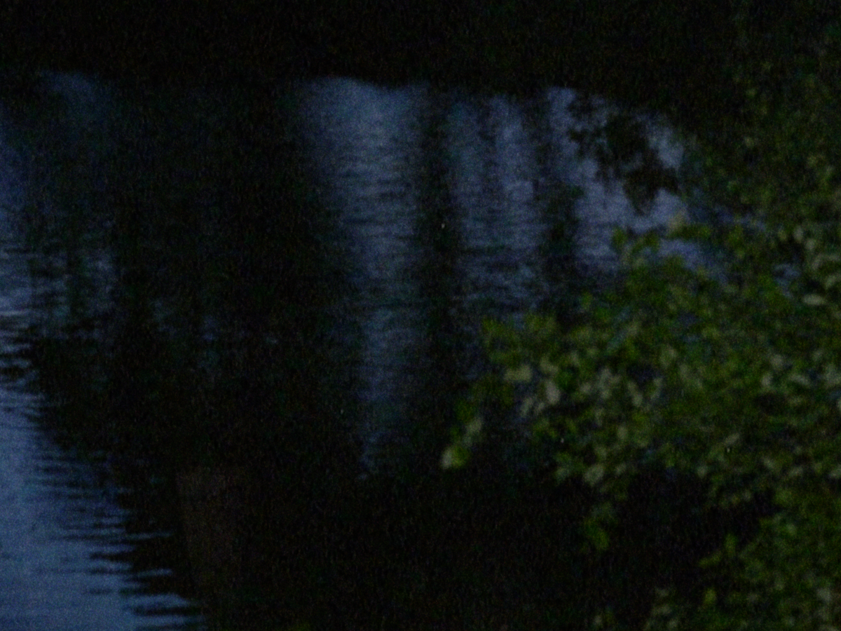 Fundraiser’s main image