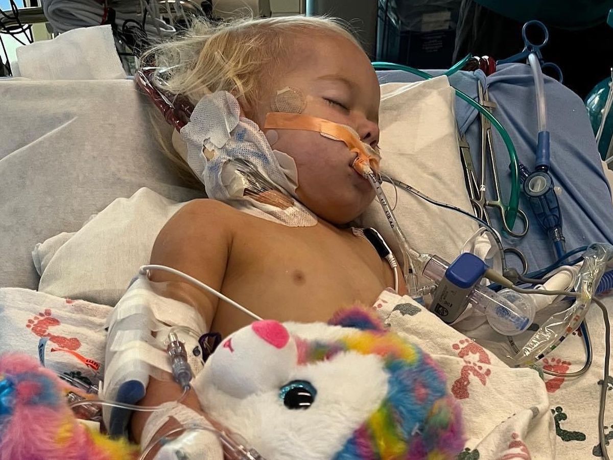 Sharie Rutherford Fundraiser for CLARE BURLEY by SHARIE RUTHERFORD : Baby Gabby
