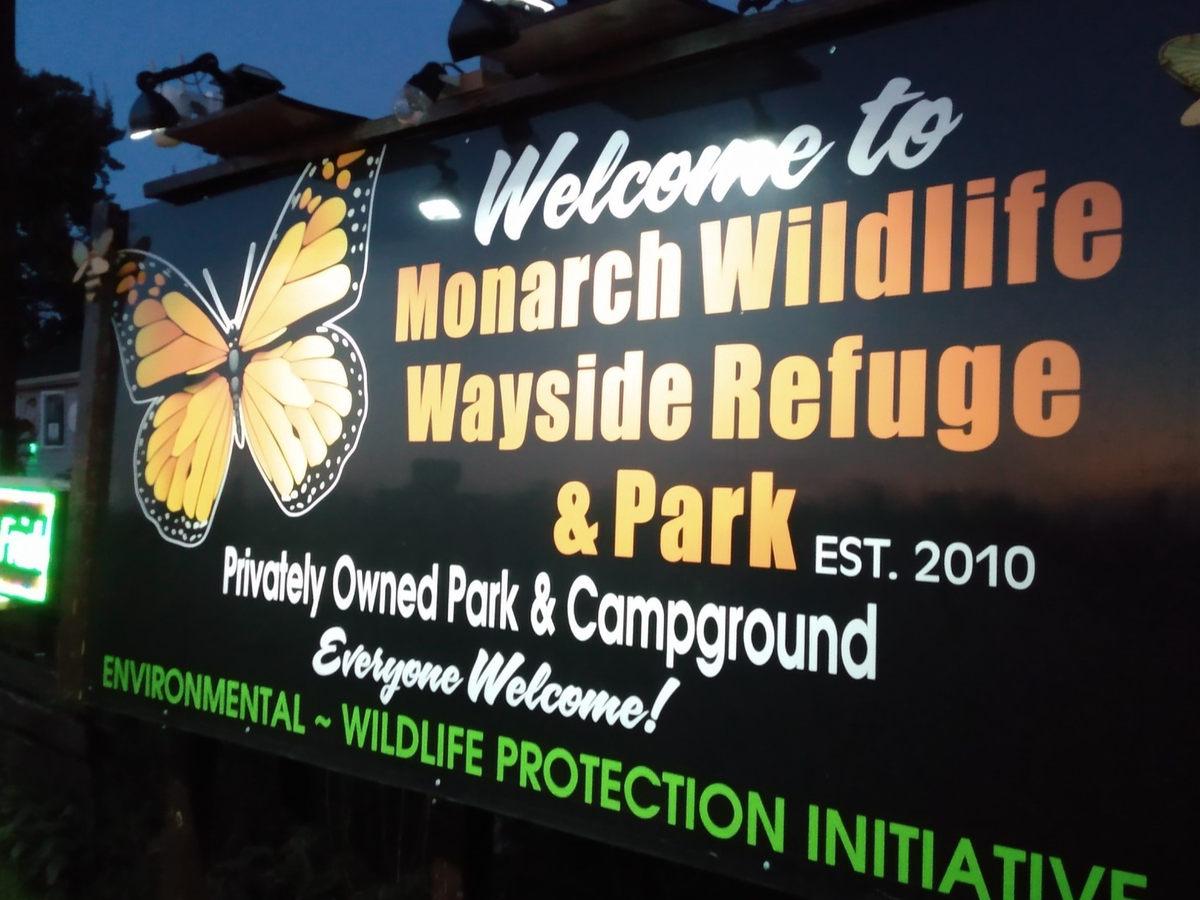 Help Us Build a Park Where Wildlife an People Find Sanctuary campaign photo, 1 of 8