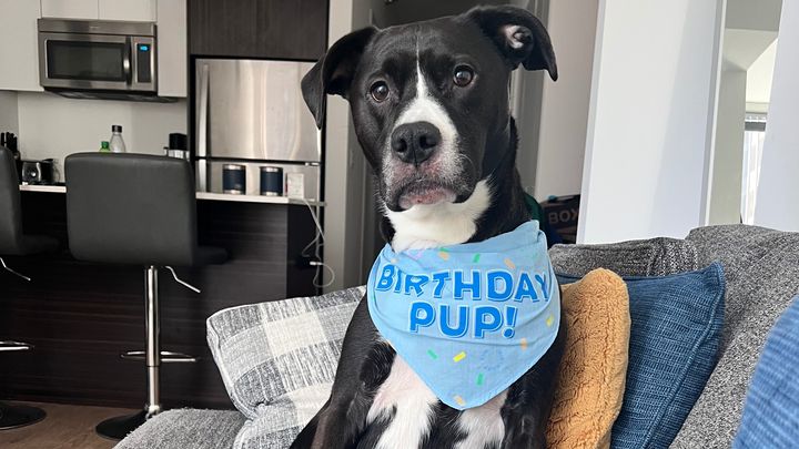 Wrigley’s Fund: Keeping Him Healthy, Happy and Safe campaign photo, 1 of 8