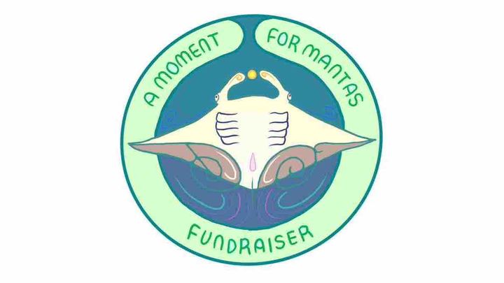Manta ray donations campaign photo, 1 of 4