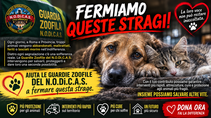Aiutaci a salvaguardare il benessere animale! campaign photo, 1 of 5