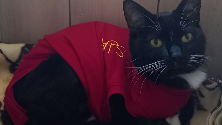 Help Cure Eli's Horrible Flesh-Eating Infection! campaign photo, 1 of 3