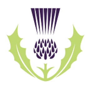 St Andrew's  Academy