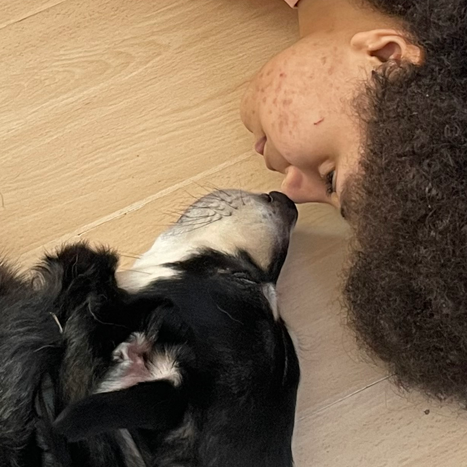 Donate to help pay for his surgery