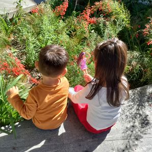 Daniela  Velazquez Barrientos