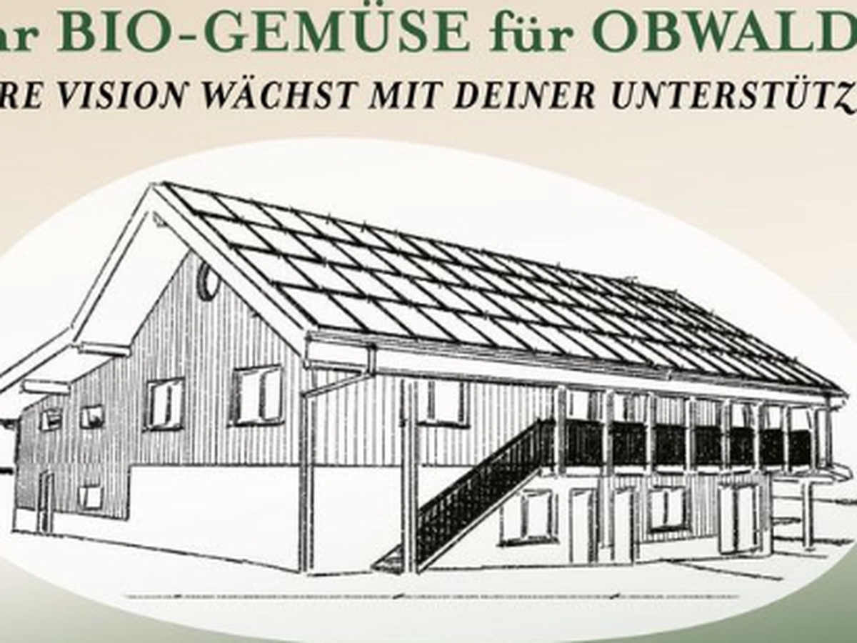 eine Produktionsstätte für mehr Bio-Gemüse in Obwalden campaign photo, 1 of 8