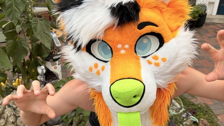 Urgent Help for Scrubby’s Emergency Move campaign photo, 1 of 3