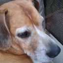Profile photo of Cara L Lopez