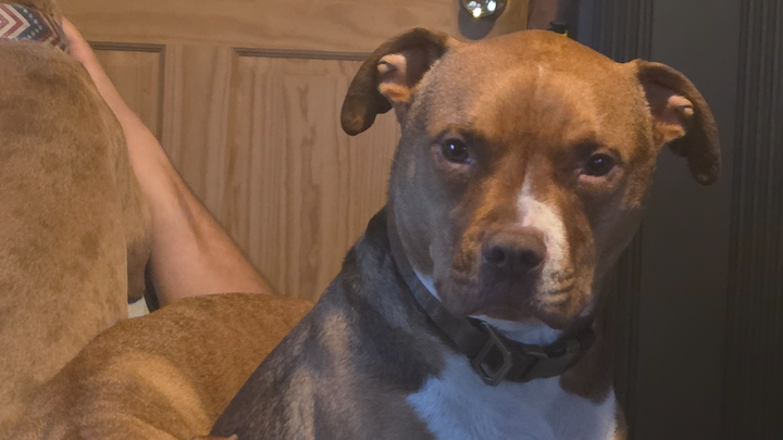 Help Bishop Recover from Hit and Run campaign photo, 1 of 5