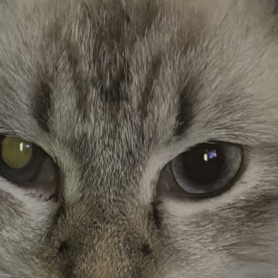 Help Casper Fight FIP.