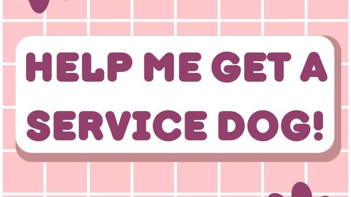 Help Me Get a Life-Changing Service Dog campaign photo, 1 of 3