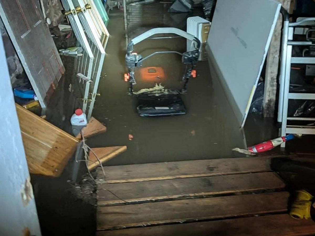 Help Celly & Cat Recover From Flooding & More campaign photo, 1 of 6