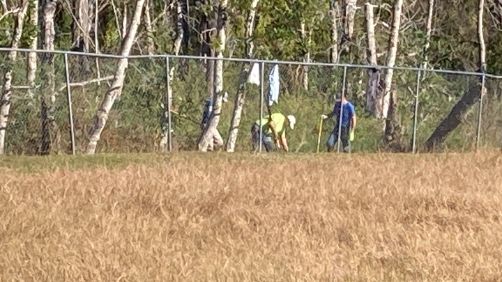 Dell's Community Cleanup Completion Project campaign photo, 1 of 3
