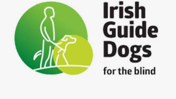 Fundraising for Irish Guide Dogs : Barcelona Marathon campaign photo, 1 of 3