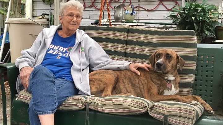 Main fundraiser photo