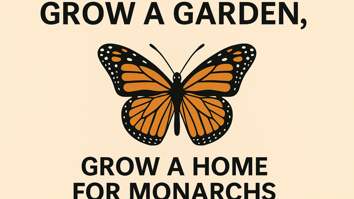 EcoStart: Monarch Habitat Fund campaign photo, 1 of 6