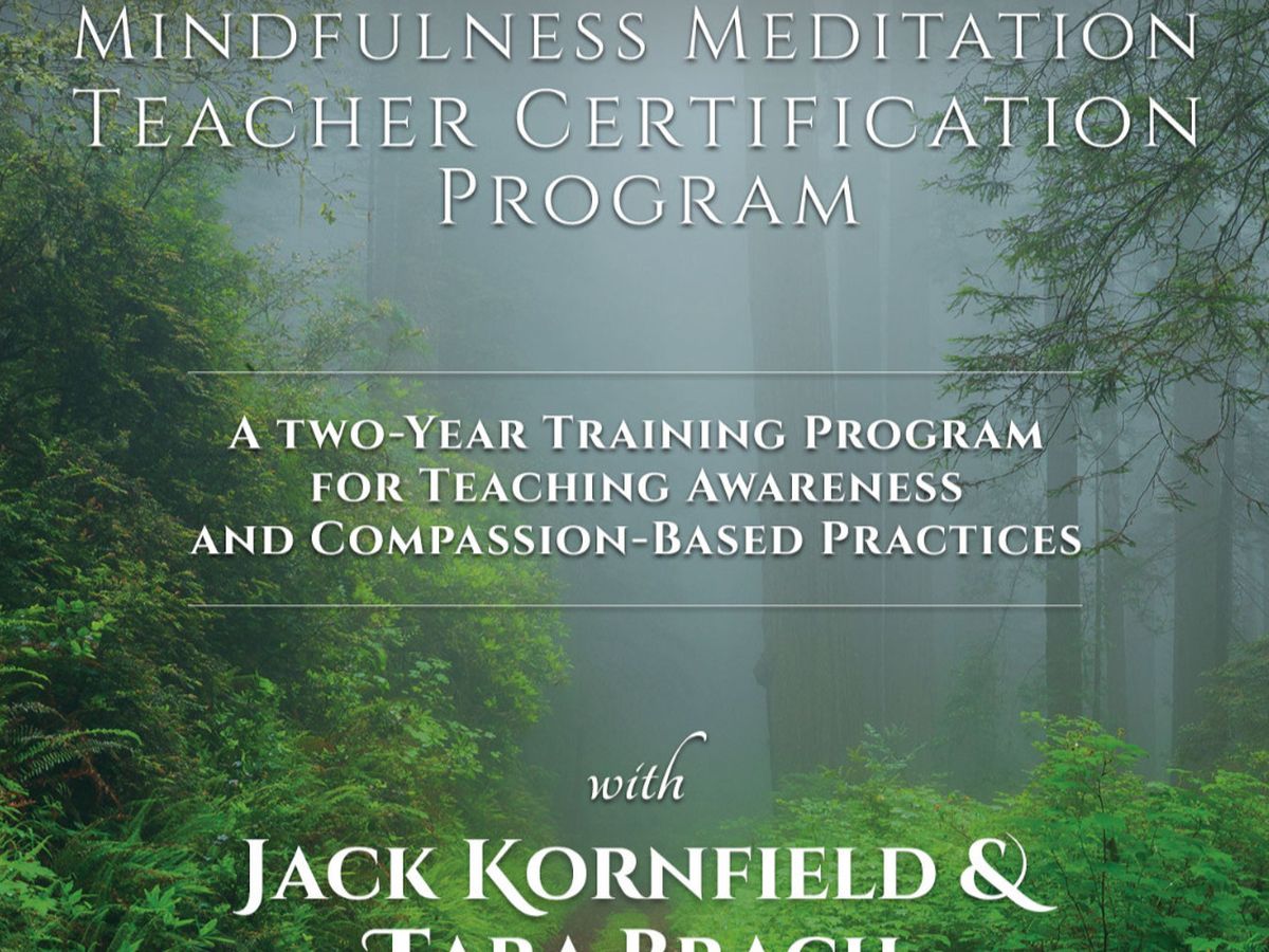 Mindfulness Teacher Training campaign photo, 1 of 3