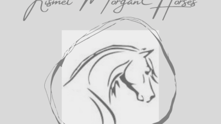 Donate for Morgan Mares' Recovery campaign photo, 1 of 4
