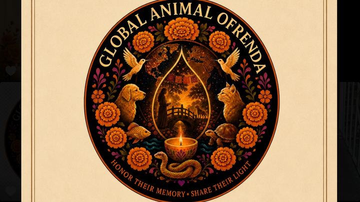 Help Build the Global Animal Ofrenda campaign photo, 1 of 6