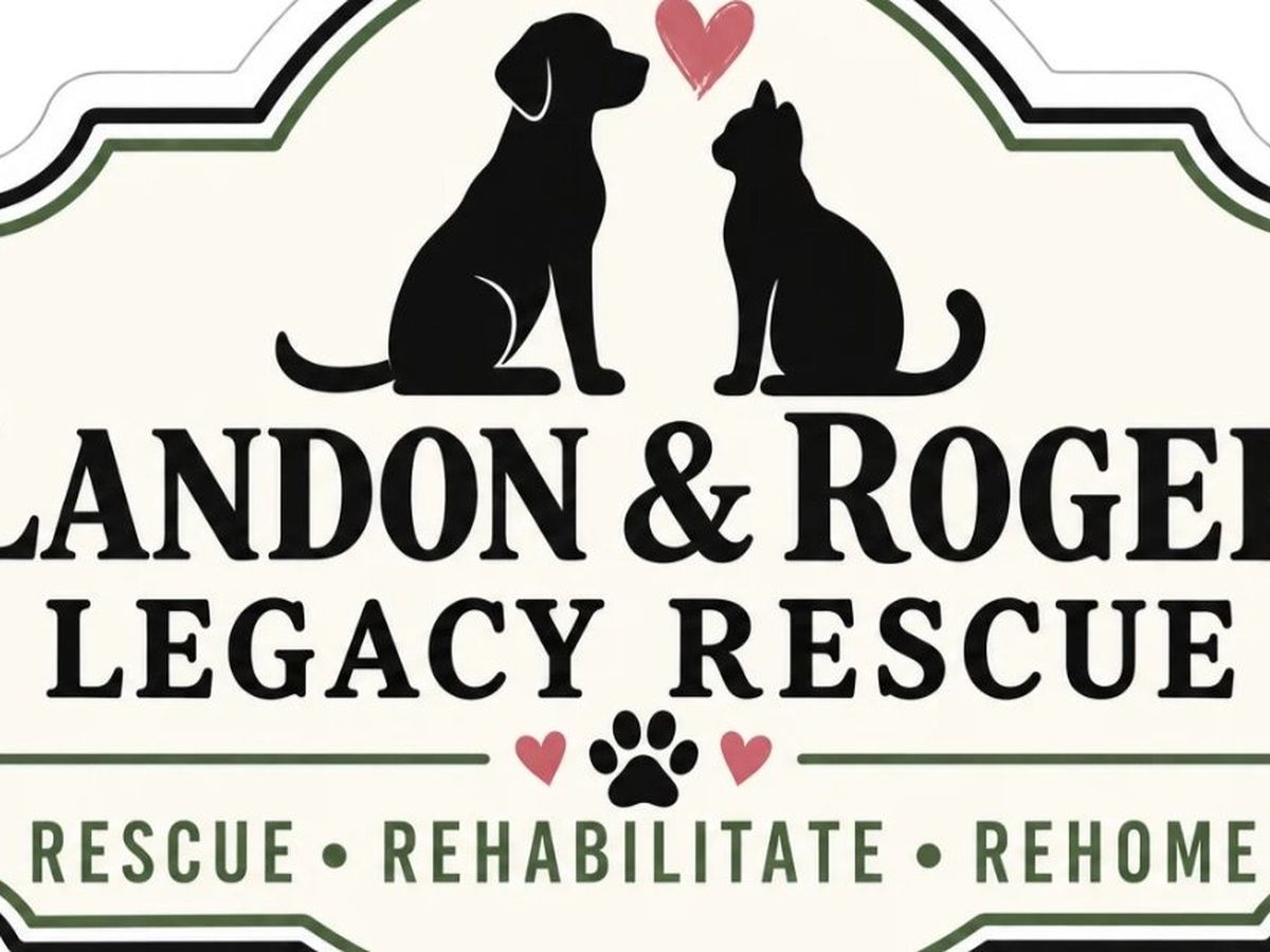 Fundraiser’s main image