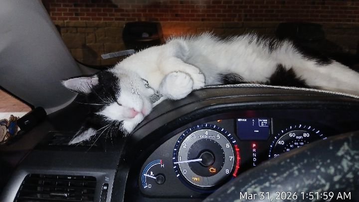 please help senior needs car repairs. campaign photo, 1 of 5