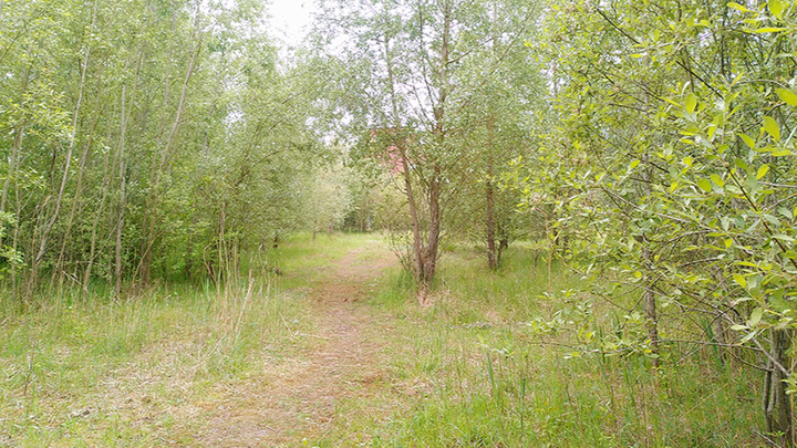 Red het Arbedpark! campaign photo, 1 of 7